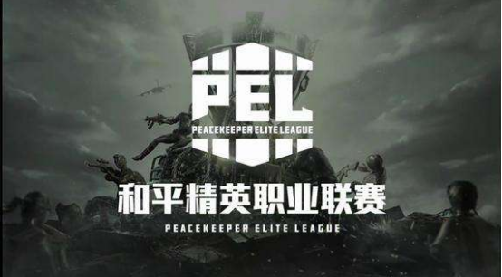 张元英在PUBG中的游戏账号引发热议